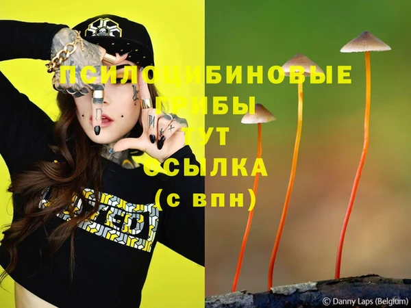 mdpv Няндома