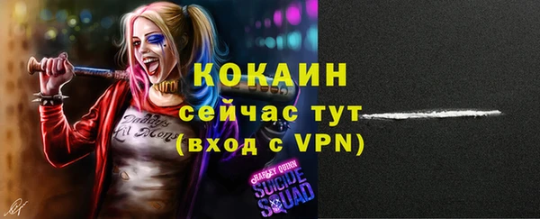 сатива Нязепетровск