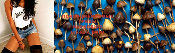 бошки Нягань