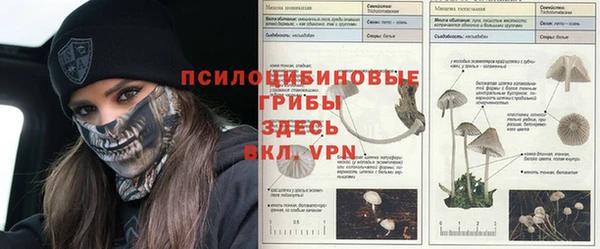 бошки Нягань