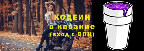 сатива Нязепетровск