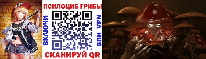 Галлюциногенные грибы GOLDEN TEACHER  Купить  Плёс 